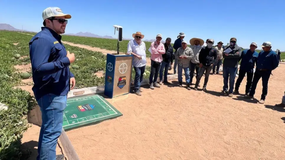 Carlota, la tecnología agrícola que reduce hasta el 30 % del uso de agua