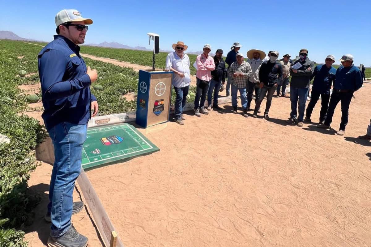 Carlota, la tecnología agrícola que reduce hasta el 30 % del uso de agua
