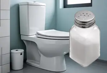 ¿Arrojar sal al inodoro? Por estas razones debes hacerlo