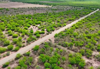 Alcalde Gildardo Leyva supervisa avances en rehabilitación del camino La Bajada del Monte