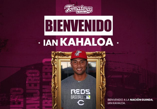 Imagen Placeholder Imagen Placeholder