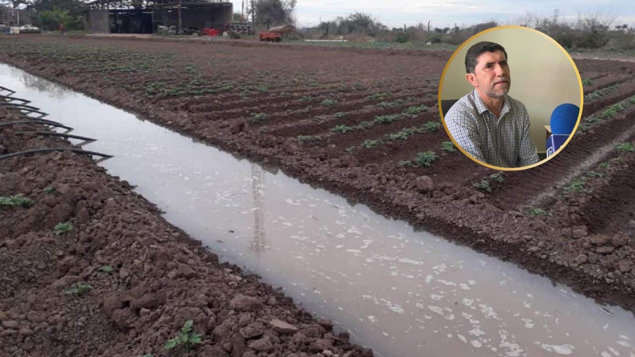 Sembrar con humedad del huracán Lorena es riesgoso para productores