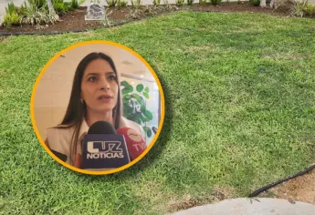 Comercios y escuelas de Los Mochis deberán integrar áreas verdes permanentes