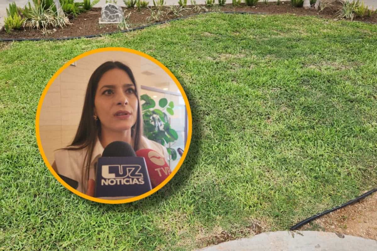 Comercios y escuelas de Los Mochis deberán integrar áreas verdes permanentes