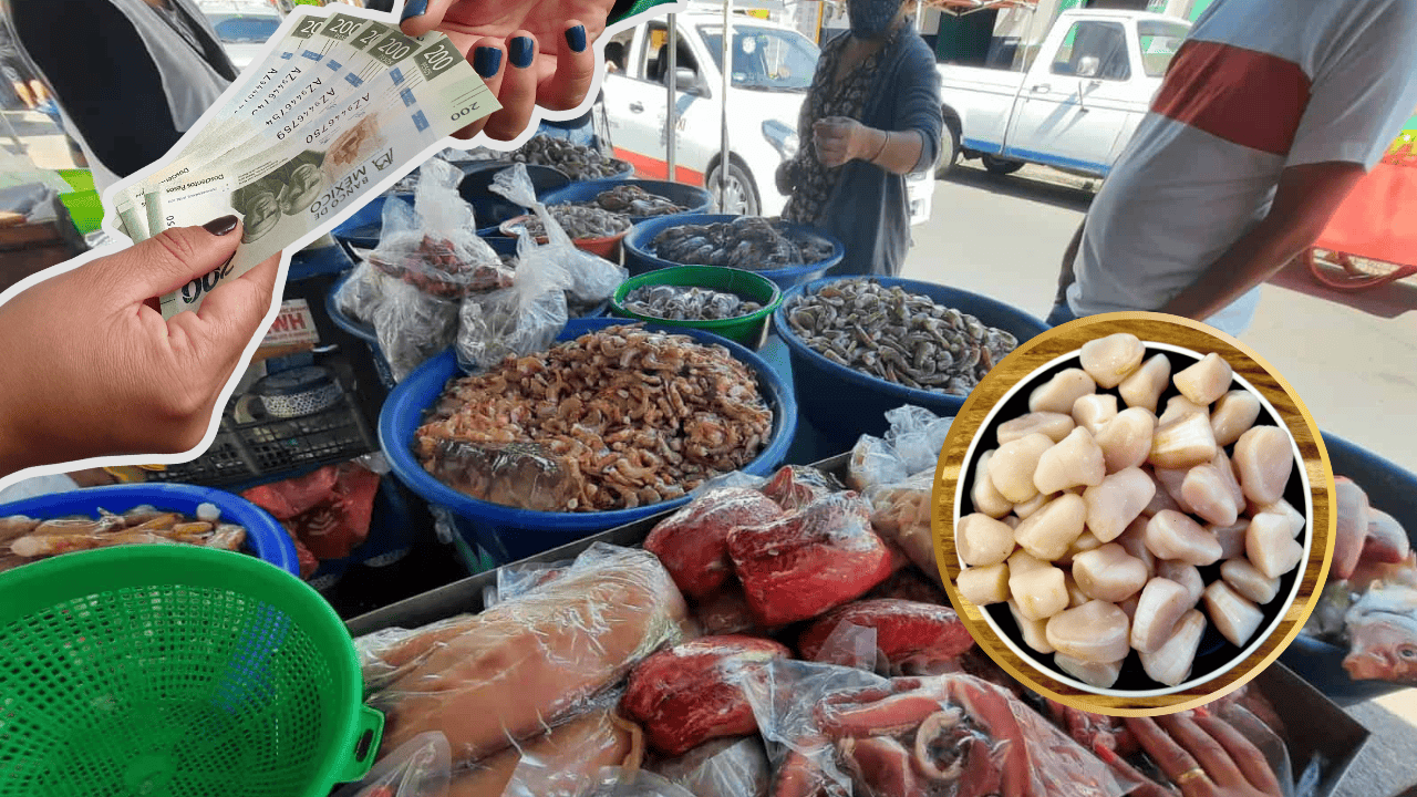 ¿Cuánto cuesta el kilo de callo de hacha con Las Changueras en Mazatlán? | VIDEO ¿Cuánto cuesta el kilo de callo de hacha con Las Changueras en Mazatlán? | VIDEO