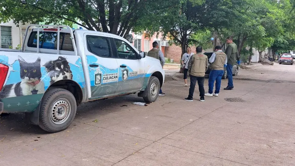 Ayuntamiento atiende brote de garrapatas en San Fermín, Culiacán Ayuntamiento atiende brote de garrapatas en San Fermín, Culiacán