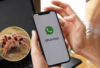 Modo Tarántula en WhatsApp: así puedes instalarlo en tu celular