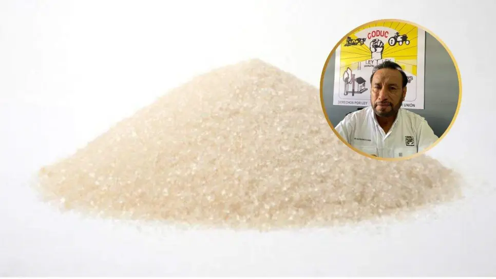 Contrabando de azúcar golpea producción en México Contrabando de azúcar golpea producción en México