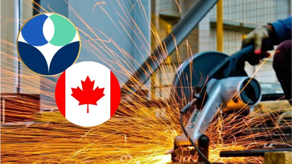 Le prometieron trabajo en Canadá, pero todo fue una estafa: ya perdió más de 40 mil pesos Le prometieron trabajo en Canadá, pero todo fue una estafa: ya perdió más de 40 mil pesos