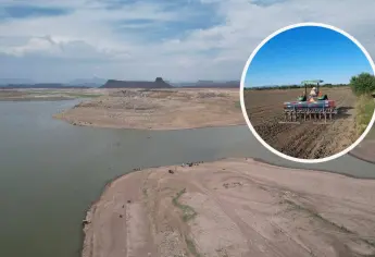¿Cómo se perfila el ciclo agrícola 2025-2026 en Sinaloa con el 33.9% de agua en las presas?
