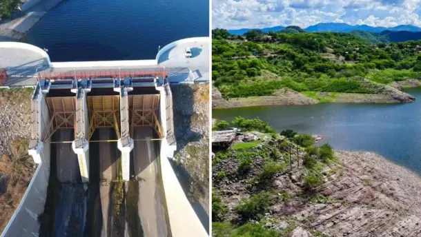 Nota Relacionada de Agro