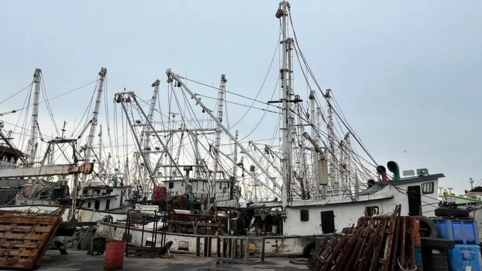 Parque Bonfil en Mazatlán vive en la desolación de cara a la próxima temporada de capturas Parque Bonfil en Mazatlán vive en la desolación de cara a la próxima temporada de capturas