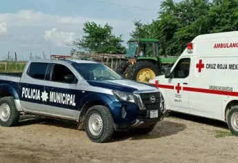 Encuentran muerto a hombre de 78 años en un campo agrícola de Ruiz Cortines, Guasave