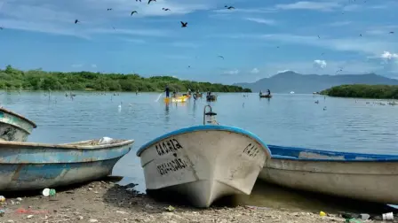 Estas serán las fechas para el levantamiento de la veda al camarón en el Pacífico ¡Todos a la pesca!