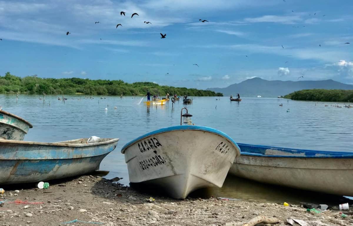 Estas serán las fechas para el levantamiento de la veda al camarón en el Pacífico ¡Todos a la pesca!