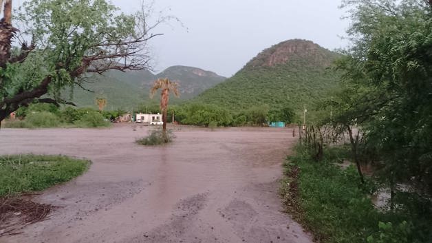 Imagen Placeholder Imagen Placeholder