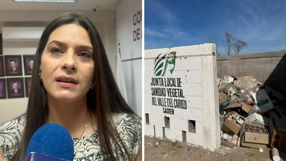 Campo Limpio: Proteger la salud humana desde el campo en Ahome Campo Limpio: Proteger la salud humana desde el campo en Ahome