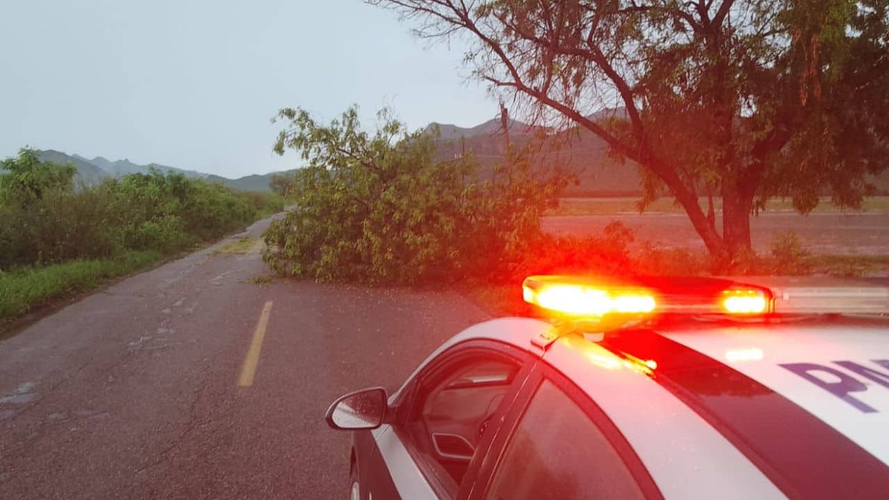 Inundaciones y caída de árboles dejan afectaciones en la sindicatura de El Guayabo, Ahome