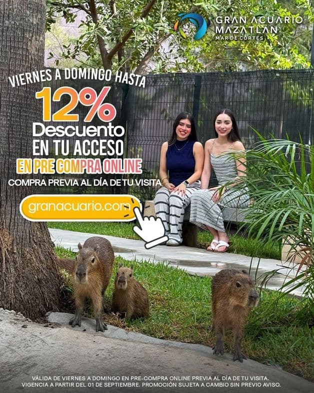 Imagen Placeholder