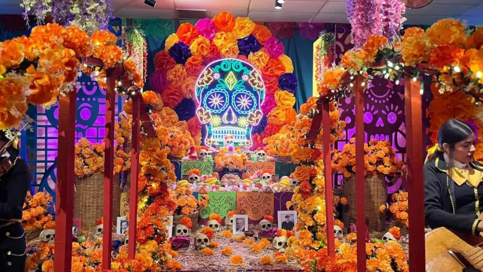 Se llena el Gran Acuario Mazatlán con "Colores y Tradiciones" para celebrar el Día de Muertos