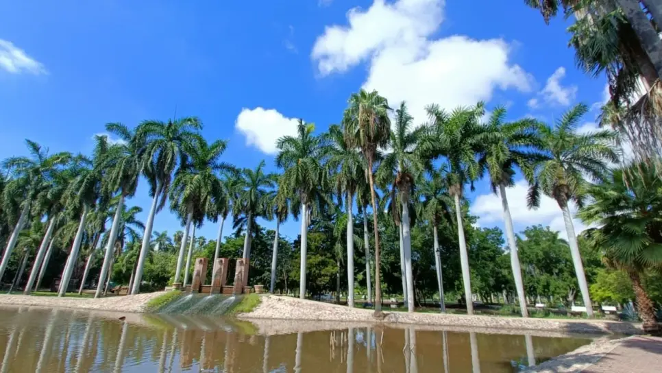 Parque Sinaloa, en Los Mochis, listo para recibir visitantes tras una semana de cierre por inundaciones Parque Sinaloa, en Los Mochis, listo para recibir visitantes tras una semana de cierre por inundaciones