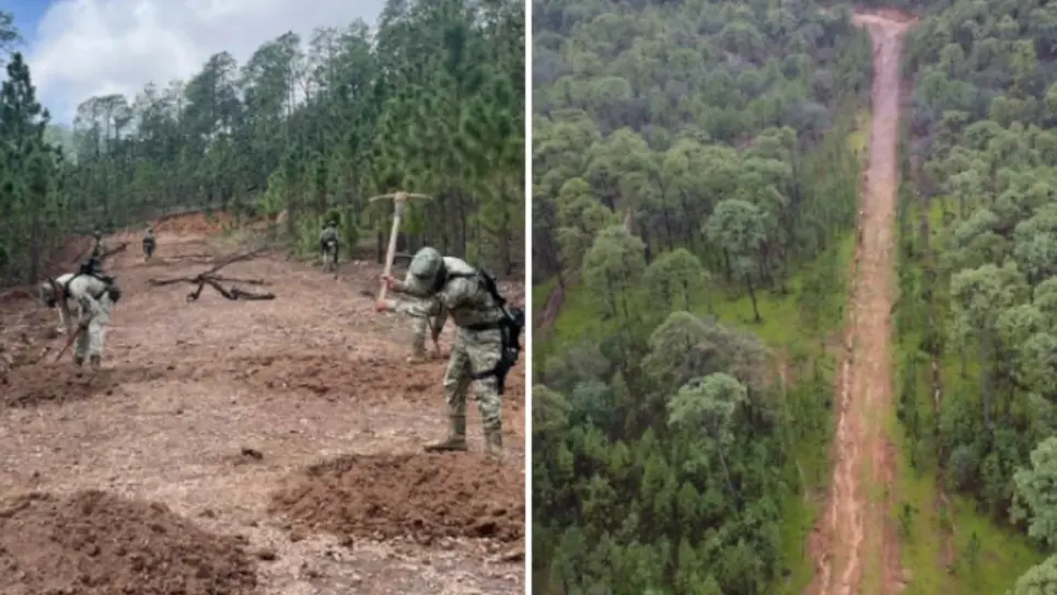 Ejército Mexicano localiza y destruye pista clandestina en los límites de Choix y Morelos, Chihuahua