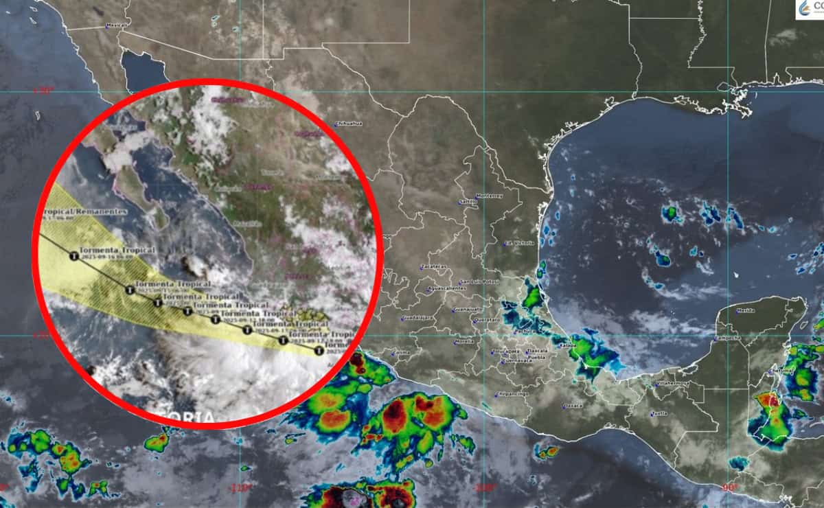 Tormenta Tropical Mario se forma en el Pacífico frente a costas mexicanas; Esta es su trayectoria