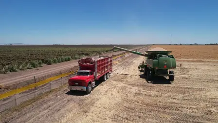 Sembrar en el ciclo agrícola 2025-2026 será 40 % más caro en Sinaloa