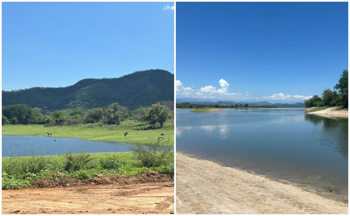 ¿Qué es el gasto ecológico? La clave para que los ríos de Sinaloa sigan vivos