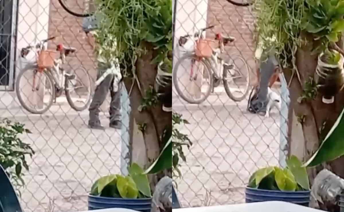 Denuncian maltrato animal en el Ejido Primero de Mayo, Ahome
