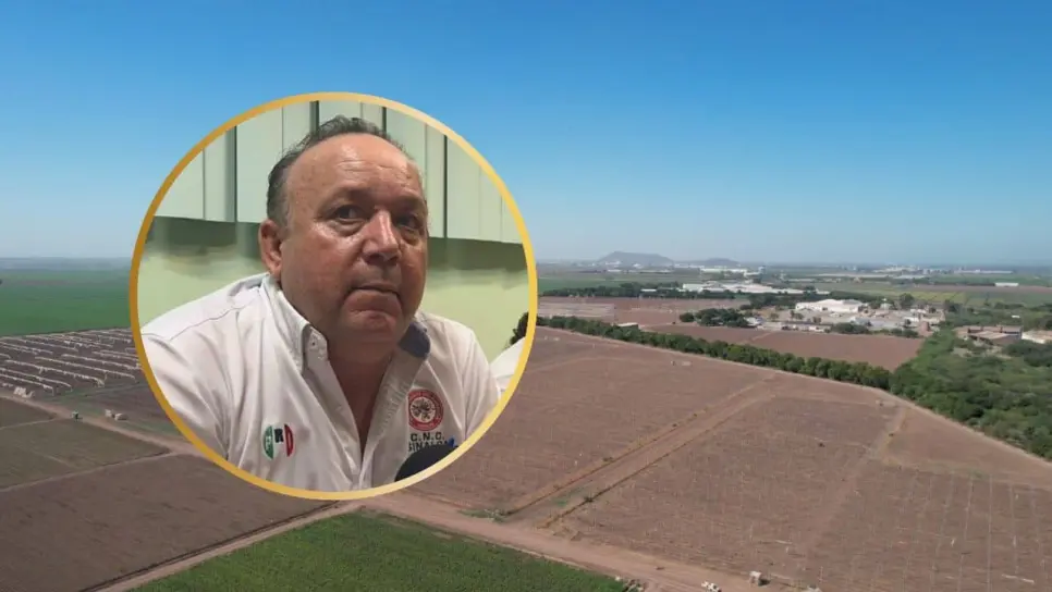 El panorama es incierto para productores a un mes de arrancar el ciclo agrícola en Sinaloa. FOTO: Luz Noticias.