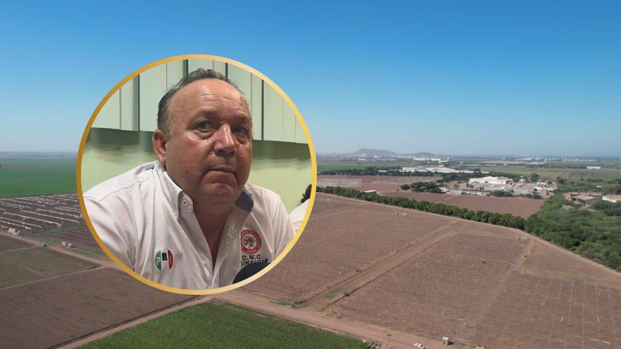Sinaloa a un mes de que inicie el ciclo agrícola