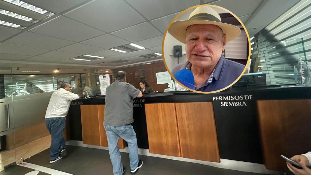 Productores del Valle del Fuerte se preparan para ciclo agrícola con siembras tempranas