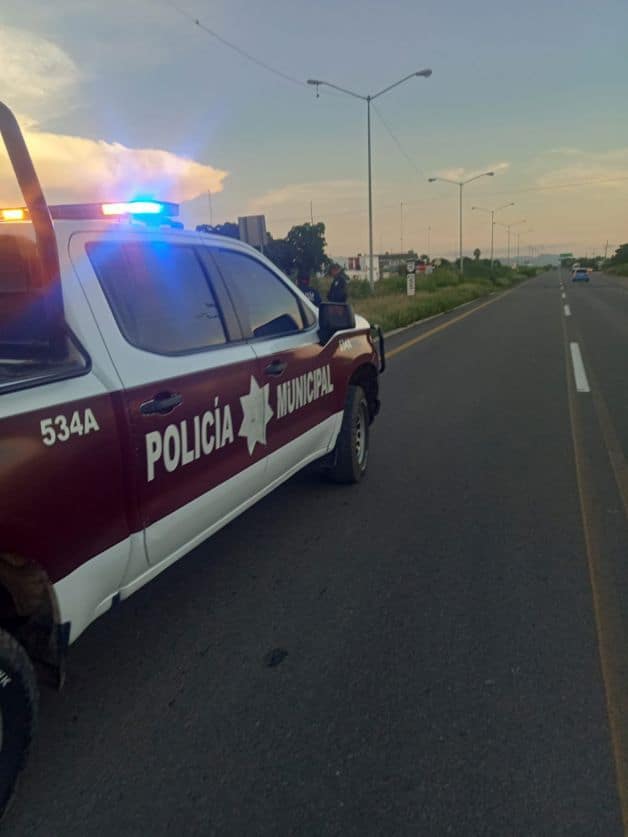 Imagen Placeholder Imagen Placeholder