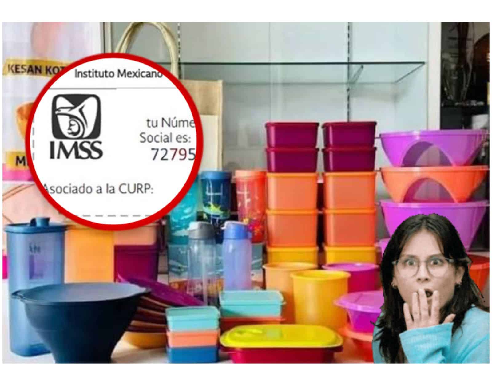 Ley Tupperware: ¿En qué consiste y a quiénes beneficia?