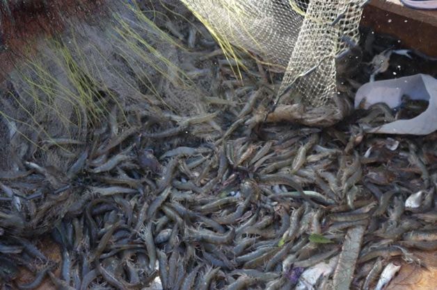 Imagen Placeholder Imagen Placeholder