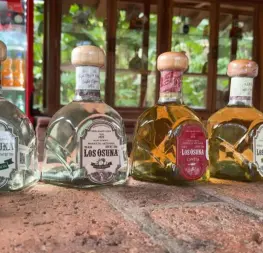 ¿Sabías que en Mazatlán existe una destilería de agave con más de 100 años de historia?