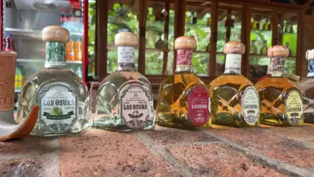 ¿Sabías que en Mazatlán existe una destilería de agave con más de 100 años de historia?