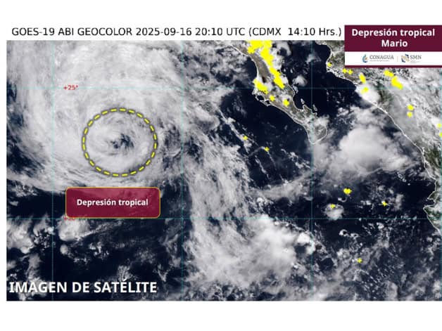Imagen Placeholder