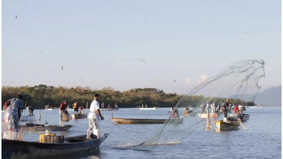 Se autovedan pescadores de Huizache-Caimanero