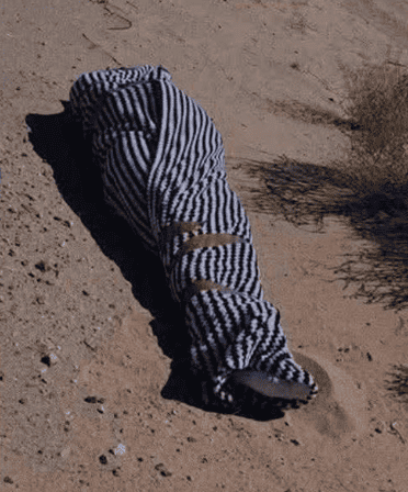 Imagen Placeholder Imagen Placeholder