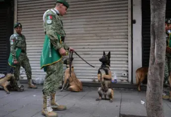 Perritos rescatistas roban miradas en el Desfile Militar 2025 | FOTOS