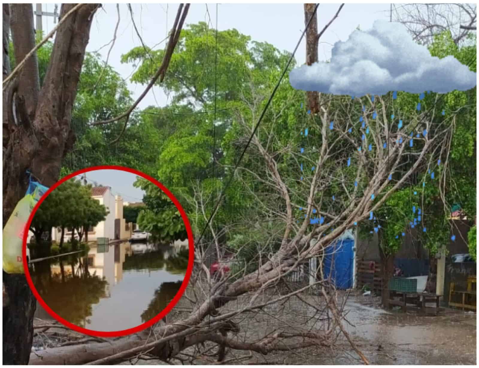 Los Mochis registra acumulado de 45 mm de lluvia