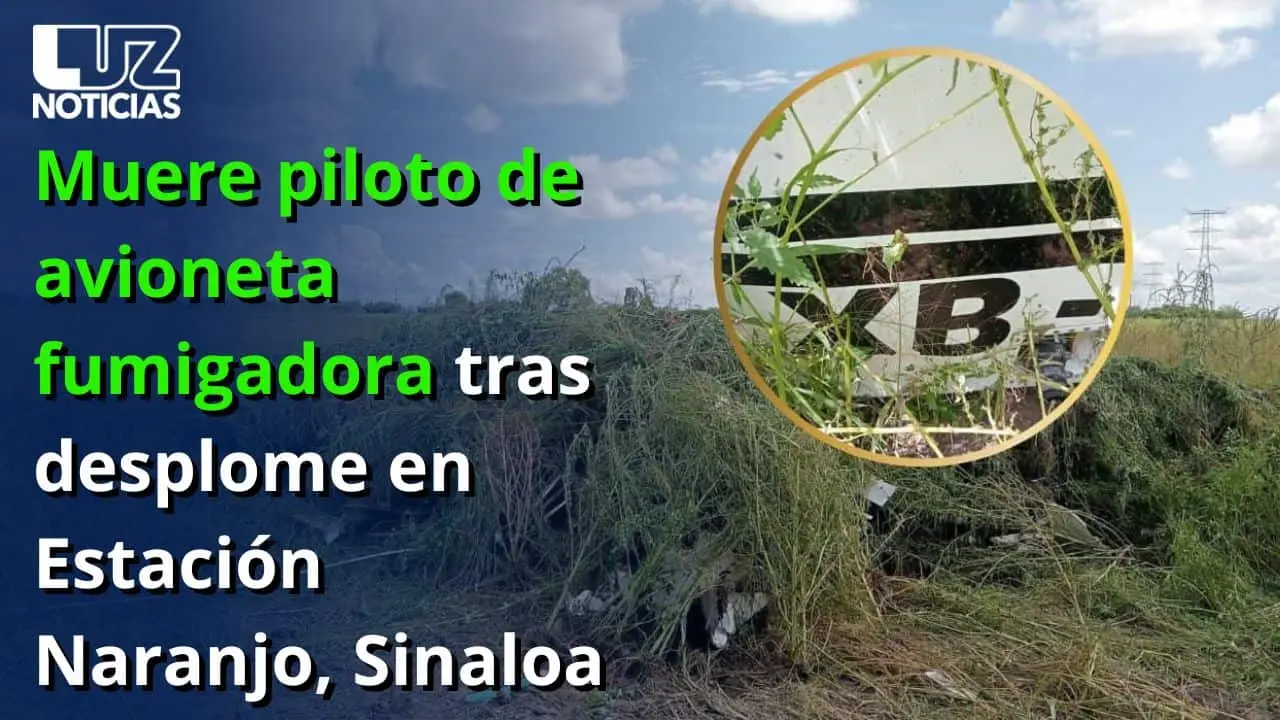Muere piloto de avioneta fumigadora tras desplome en Estación Naranjo, Sinaloa