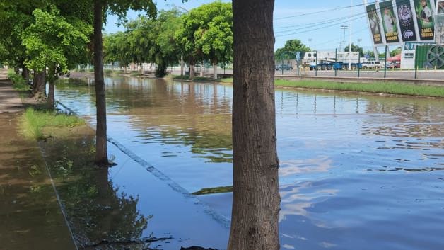 Imagen Placeholder Imagen Placeholder