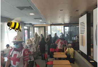 Enjambre de abejas ataca en Mazatlán: cinco personas resultan lesionadas