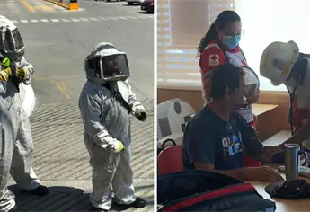 Así fue el ataque de un enjambre de abejas en restaurante de Mazatlán