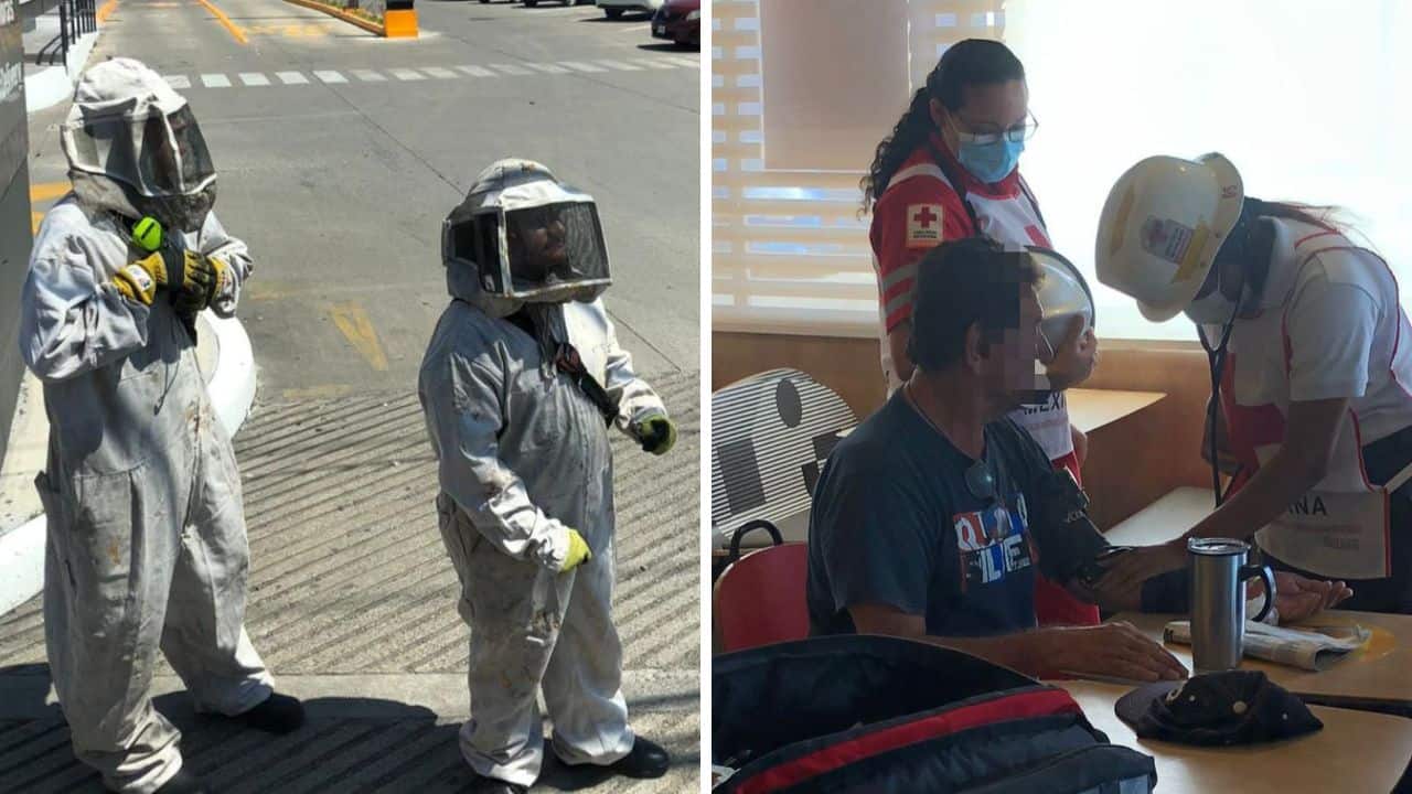Afortunadamente, las personas que resultaron lesionadas, no tuvieron necesidad de trasladarse a un hospital, solamente se dijo que uno de ellos se retiró del sitio en su vehículo particular