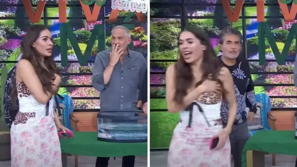 Galilea al saber que su micrófono estaba encendido esta respondió que si estaba abierto y al saber que sí, no le quedó de otra que retirarse apenada por lo sucedido