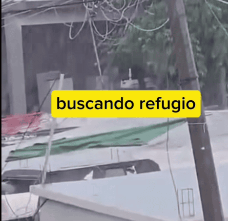 Imagen Placeholder Imagen Placeholder